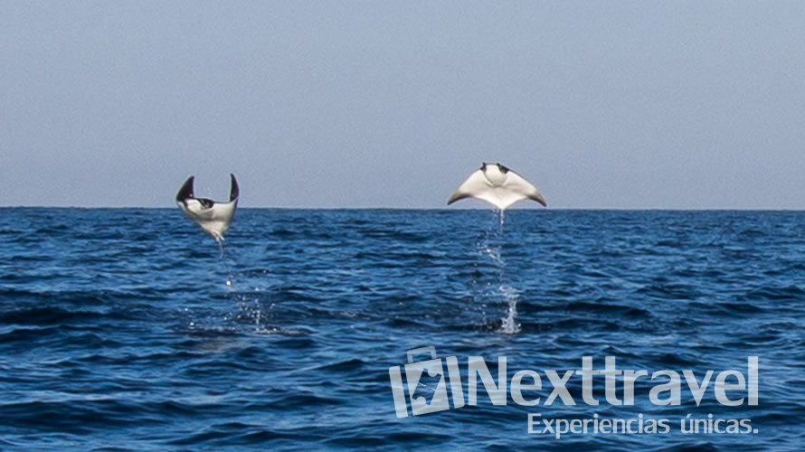 Puerto Escondido, México